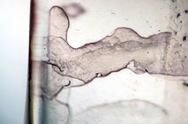 pürüzlü yüzeyi çok renkli boya