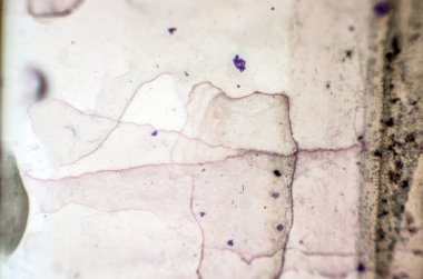 pürüzlü yüzeyi çok renkli boya