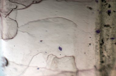 pürüzlü yüzeyi çok renkli boya