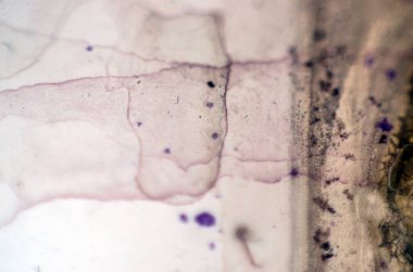 pürüzlü yüzeyi çok renkli boya