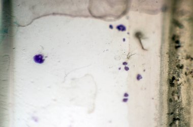 pürüzlü yüzeyi çok renkli boya