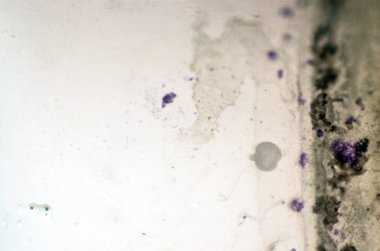 pürüzlü yüzeyi çok renkli boya