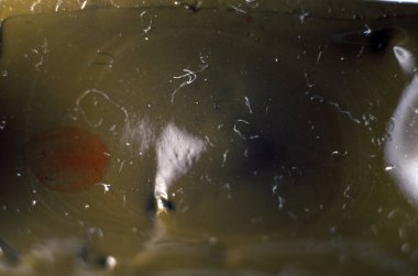 pürüzlü yüzeyi çok renkli boya