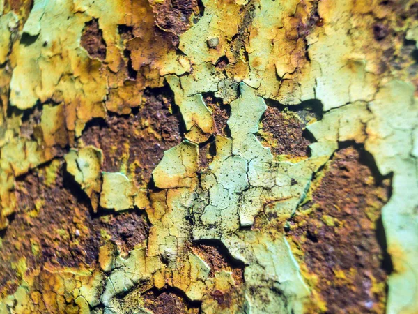 pürüzlü yüzeyi çok renkli boya