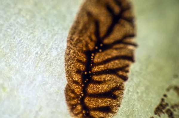 pürüzlü yüzeyi çok renkli boya