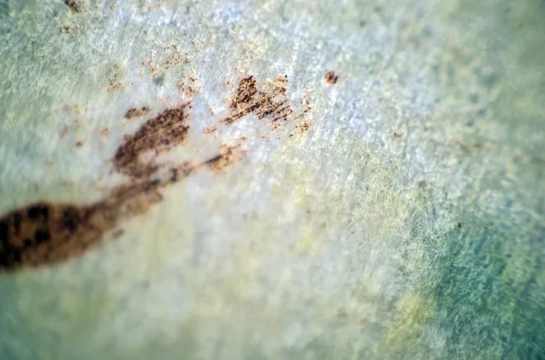 pürüzlü yüzeyi çok renkli boya