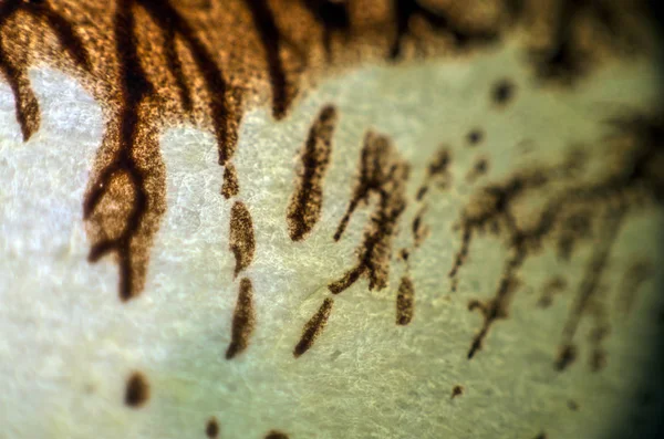 pürüzlü yüzeyi çok renkli boya