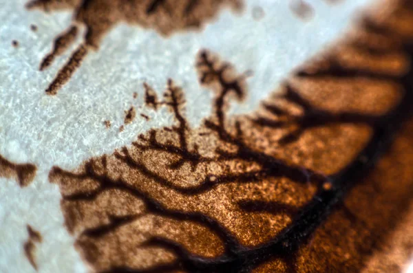 pürüzlü yüzeyi çok renkli boya