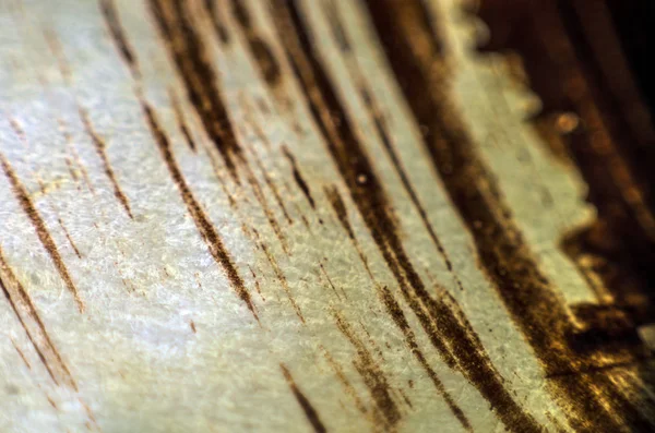 pürüzlü yüzeyi çok renkli boya