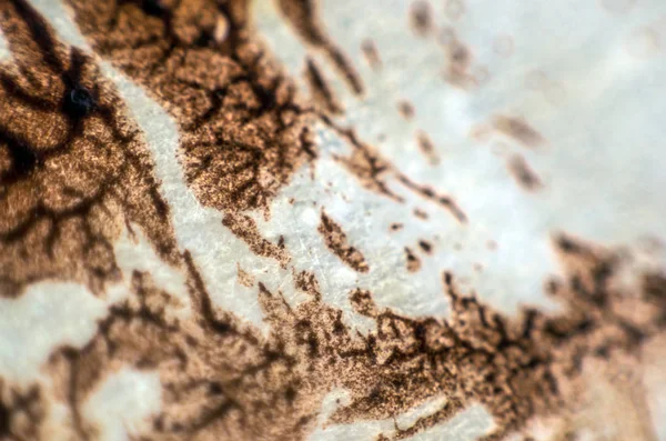 pürüzlü yüzeyi çok renkli boya