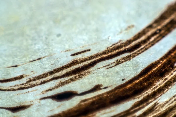 pürüzlü yüzeyi çok renkli boya