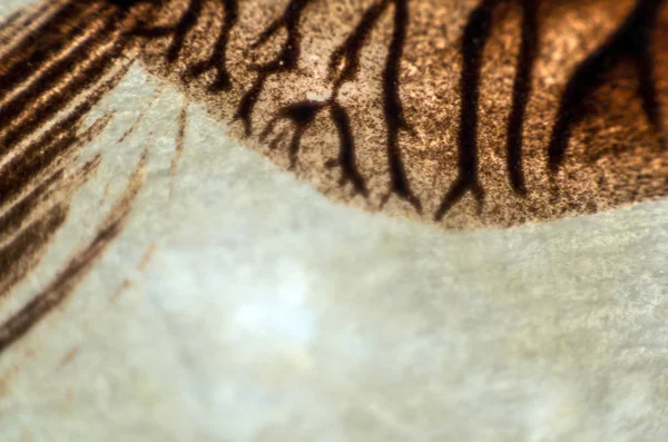 pürüzlü yüzeyi çok renkli boya