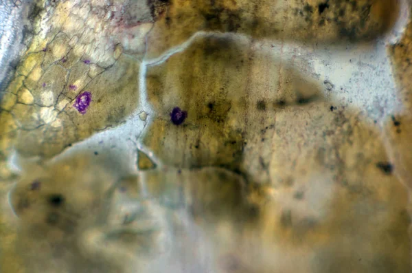 pürüzlü yüzeyi çok renkli boya