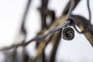 pürüzlü yüzeyi çok renkli boya