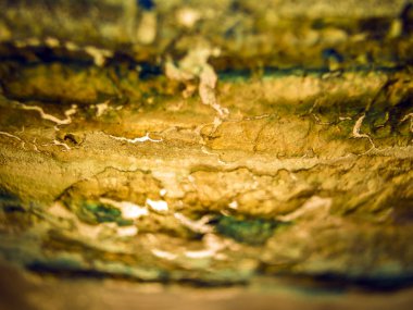 pürüzlü yüzeyi çok renkli boya