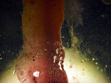 pürüzlü yüzeyi çok renkli boya