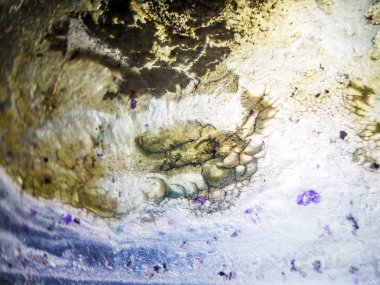 pürüzlü yüzeyi çok renkli boya