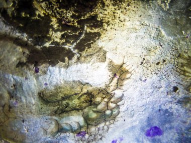 pürüzlü yüzeyi çok renkli boya