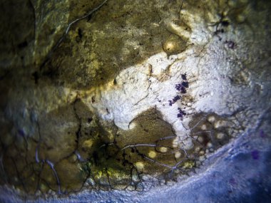 pürüzlü yüzeyi çok renkli boya