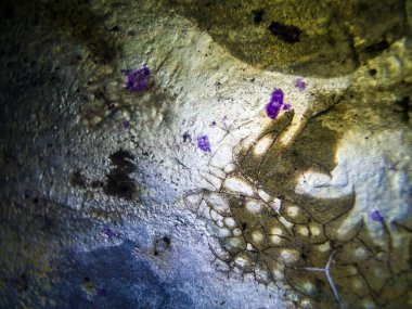 pürüzlü yüzeyi çok renkli boya