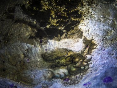 pürüzlü yüzeyi çok renkli boya