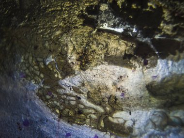 pürüzlü yüzeyi çok renkli boya