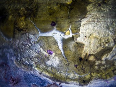 pürüzlü yüzeyi çok renkli boya