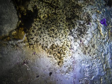 pürüzlü yüzeyi çok renkli boya