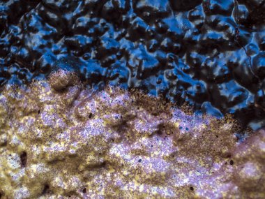 pürüzlü yüzeyi çok renkli boya