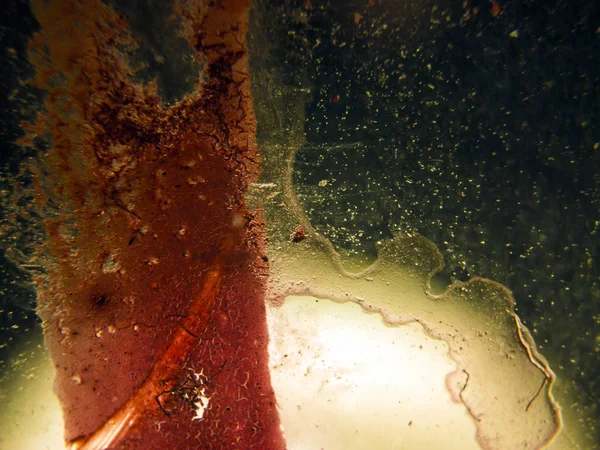 pürüzlü yüzeyi çok renkli boya