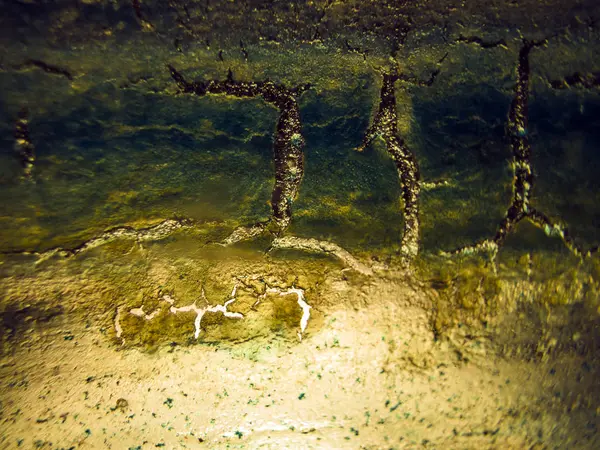 pürüzlü yüzeyi çok renkli boya