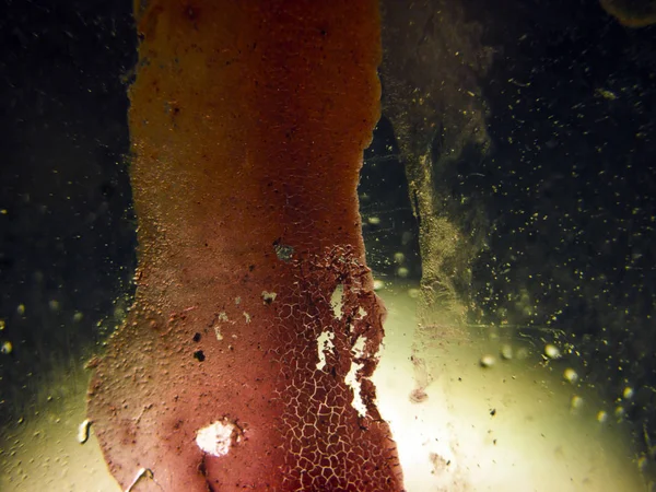 pürüzlü yüzeyi çok renkli boya