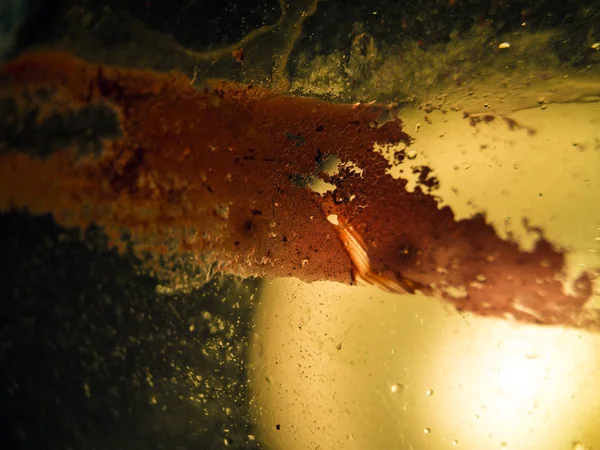 pürüzlü yüzeyi çok renkli boya