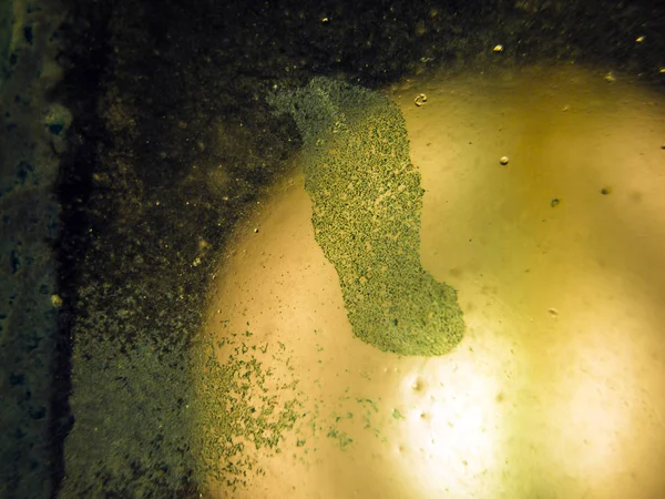 pürüzlü yüzeyi çok renkli boya