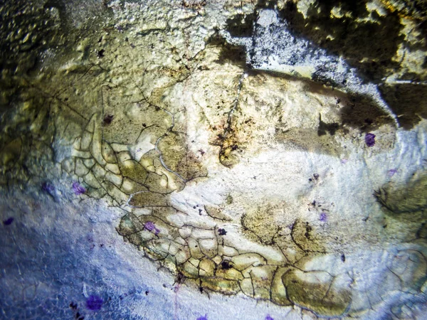 pürüzlü yüzeyi çok renkli boya