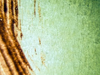 pürüzlü yüzeyi çok renkli boya