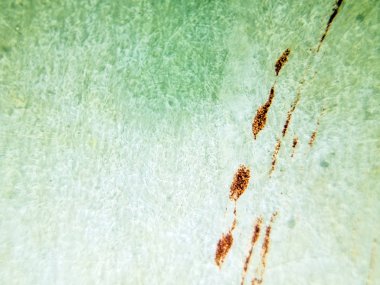 pürüzlü yüzeyi çok renkli boya