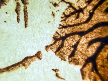 pürüzlü yüzeyi çok renkli boya