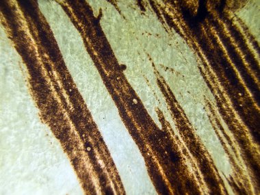 pürüzlü yüzeyi çok renkli boya