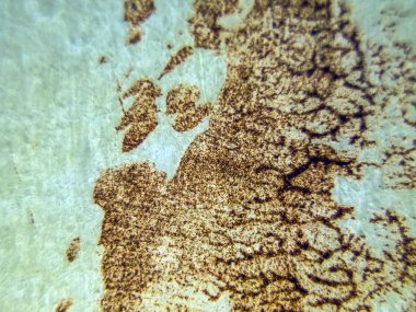 pürüzlü yüzeyi çok renkli boya