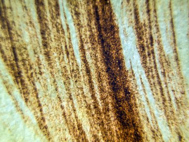 pürüzlü yüzeyi çok renkli boya