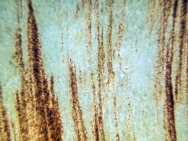 pürüzlü yüzeyi çok renkli boya