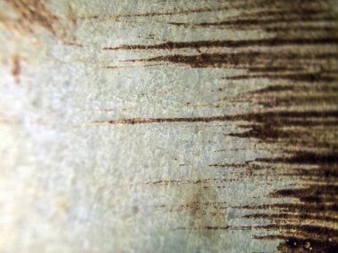 pürüzlü yüzeyi çok renkli boya