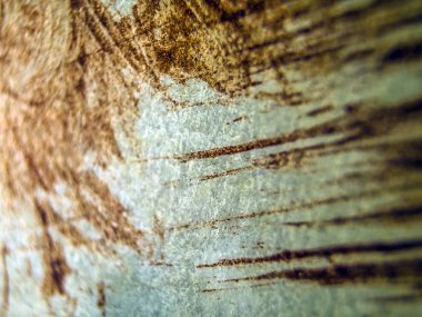 pürüzlü yüzeyi çok renkli boya