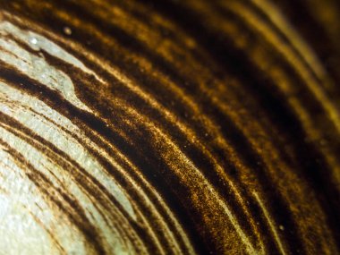 pürüzlü yüzeyi çok renkli boya