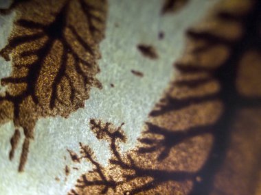 pürüzlü yüzeyi çok renkli boya