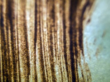 pürüzlü yüzeyi çok renkli boya