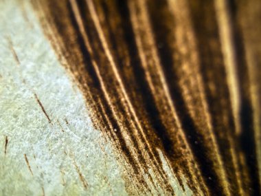 pürüzlü yüzeyi çok renkli boya