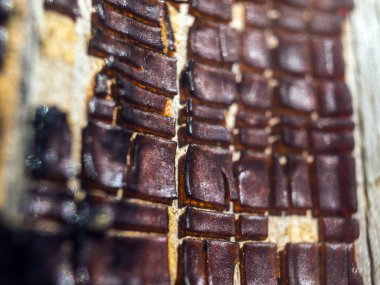 pürüzlü yüzeyi çok renkli boya