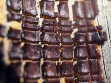 pürüzlü yüzeyi çok renkli boya